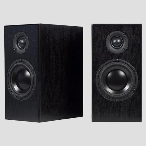 TOTEM ACOUSTIC BISON MONITOR, LENTYNINĖS GARSO KOLONĖLĖS (ĮVAIRIŲ SPAL