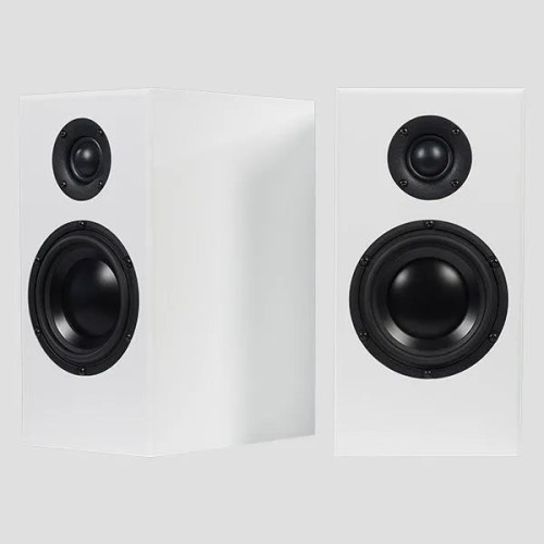 TOTEM ACOUSTIC BISON MONITOR, LENTYNINĖS GARSO KOLONĖLĖS (ĮVAIRIŲ SPAL TOTEM ACOUSTIC BISON MONITOR, LENTYNINĖS GARSO KOLONĖLĖS (ĮVAIRIŲ SPAL