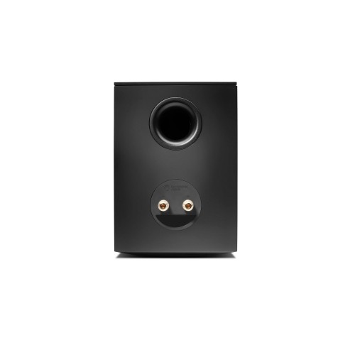 CAMBRIDGE AUDIO EVO S, LENTYNINĖS GARSO KOLONĖLĖS