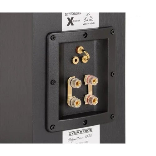 LENTYNINĖS STEREO KOLONĖLĖS DYNAVOICE DEFINITION DX-5, 100W