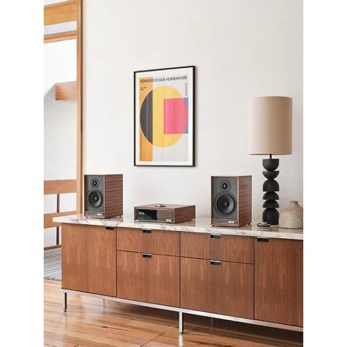 RUARK AUDIO R610, VISKAS VIENAME STIPRINTUVAS