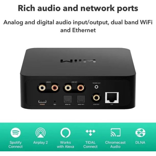 WIIM PRO PLUS, HI-RES TINKLO GROTUVAS