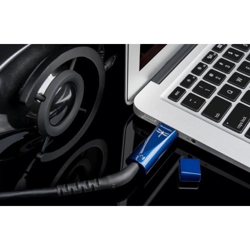 AUDIOQUEST DRAGONFLY COBALT USB KEITIKLIS DAC, AUSINIŲ STIPRINTUVAS