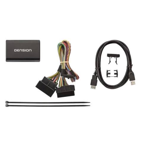 AUTOMOBILINIS USB ADAPTERIS DENSION GATEWAY 300 GW33OC3, SKIRTAS OPEL