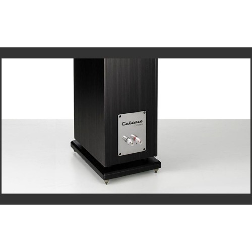 REGA   CABASSE JERSEY MT32 GRINDINĖ GARSO KOLONĖLĖ