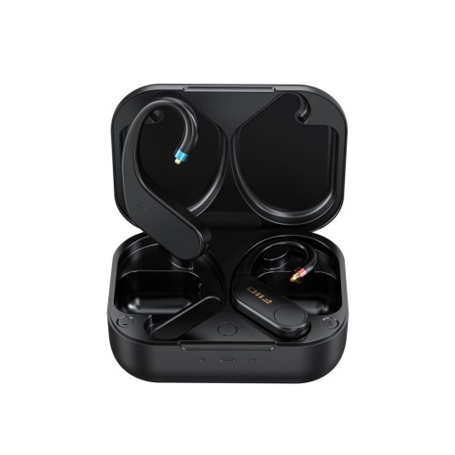 FIIO    UTWS5 BLUETOOTH ADAPTERIS