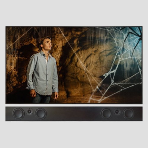 TOTEM ACOUSTIC    TRIBE DUO